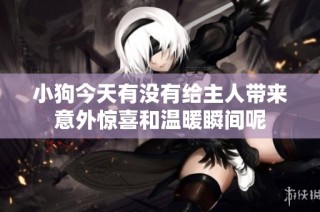 小狗今天有没有给主人带来意外惊喜和温暖瞬间呢