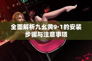 全面解析九幺黄9·1的安装步骤与注意事项