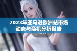 2023年亚马逊欧洲站市场动态与商机分析报告