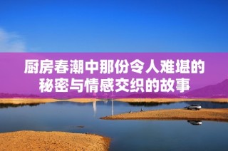 厨房春潮中那份令人难堪的秘密与情感交织的故事