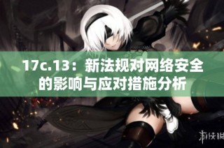 17c.13：新法规对网络安全的影响与应对措施分析