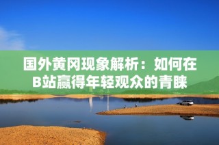 国外黄冈现象解析：如何在B站赢得年轻观众的青睐