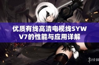 优质有线高清电视线SYWV7的性能与应用详解