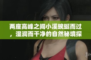 两座高峰之间小溪蜿蜒而过，湿润而干净的自然秘境探秘之旅