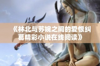 《林北与苏婉之间的爱恨纠葛精彩小说在线阅读》