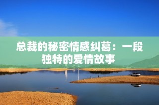 总裁的秘密情感纠葛：一段独特的爱情故事 