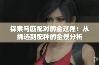 探索马匹配对的全过程：从挑选到配种的全景分析