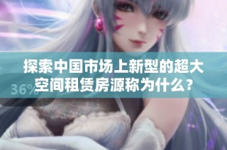 探索中国市场上新型的超大空间租赁房源称为什么？