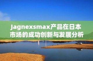 Jagnexsmax产品在日本市场的成功创新与发展分析