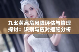 九幺黄高危风险评估与管理探讨：识别与应对措施分析