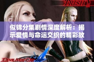 似锦分集剧情深度解析：揭示爱情与命运交织的精彩故事
