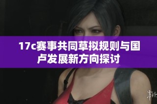17c赛事共同草拟规则与国卢发展新方向探讨