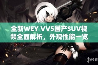 全新WEY VV5国产SUV视频全面解析，外观性能一览无遗