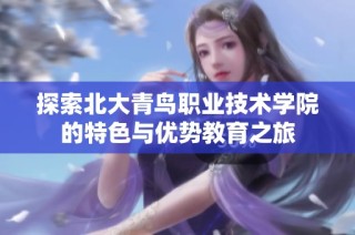 探索北大青鸟职业技术学院的特色与优势教育之旅