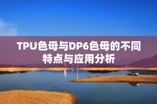 TPU色母与DP6色母的不同特点与应用分析