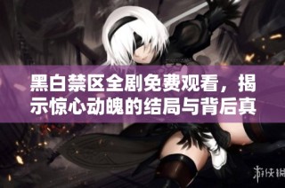黑白禁区全剧免费观看，揭示惊心动魄的结局与背后真相