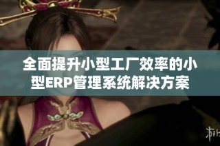 全面提升小型工厂效率的小型ERP管理系统解决方案