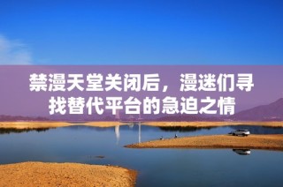 禁漫天堂关闭后，漫迷们寻找替代平台的急迫之情