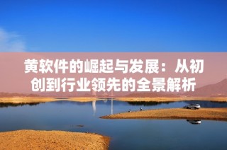 黄软件的崛起与发展：从初创到行业领先的全景解析