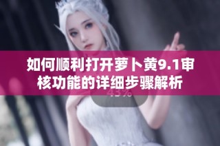 如何顺利打开萝卜黄9.1审核功能的详细步骤解析