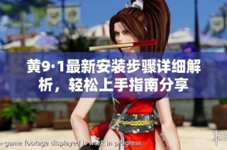 黄9·1最新安装步骤详细解析，轻松上手指南分享