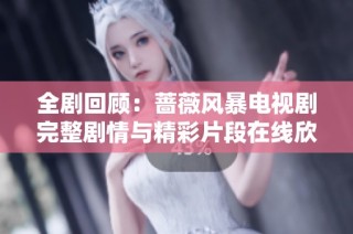 全剧回顾：蔷薇风暴电视剧完整剧情与精彩片段在线欣赏
