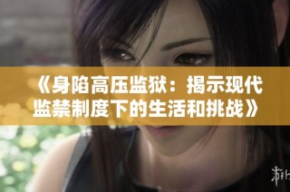 《身陷高压监狱：揭示现代监禁制度下的生活和挑战》