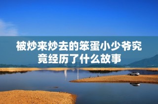 被炒来炒去的笨蛋小少爷究竟经历了什么故事