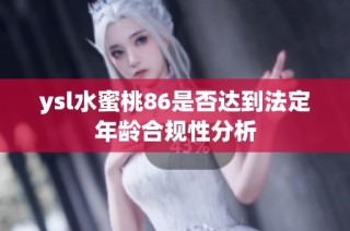 ysl水蜜桃86是否达到法定年龄合规性分析