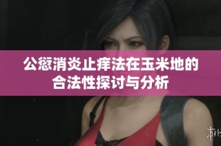 公愆消炎止痒法在玉米地的合法性探讨与分析