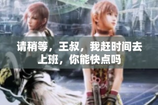 请稍等，王叔，我赶时间去上班，你能快点吗