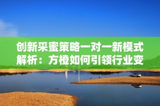 创新采蜜策略一对一新模式解析：方橙如何引领行业变革