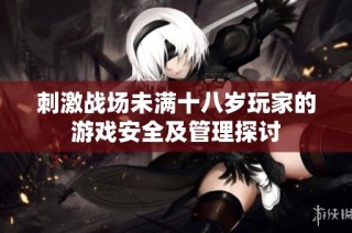 刺激战场未满十八岁玩家的游戏安全及管理探讨