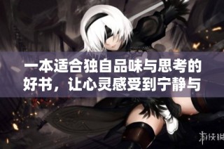 一本适合独自品味与思考的好书，让心灵感受到宁静与共鸣