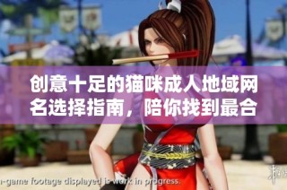 创意十足的猫咪成人地域网名选择指南，陪你找到最合适的昵称