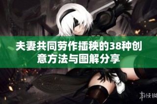 夫妻共同劳作插秧的38种创意方法与图解分享