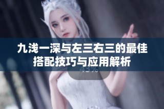 九浅一深与左三右三的最佳搭配技巧与应用解析