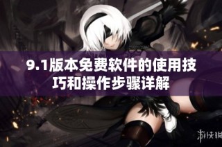 9.1版本免费软件的使用技巧和操作步骤详解