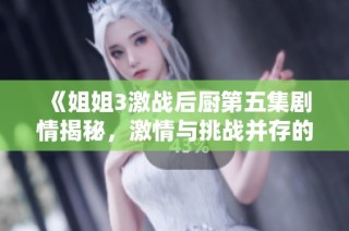 《姐姐3激战后厨第五集剧情揭秘，激情与挑战并存的一夜》