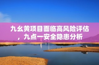 九幺黄项目面临高风险评估，九点一安全隐患分析