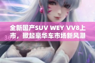 全新国产SUV WEY VV8上市，掀起豪华车市场新风潮