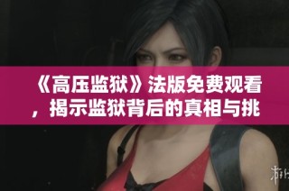 《高压监狱》法版免费观看，揭示监狱背后的真相与挑战