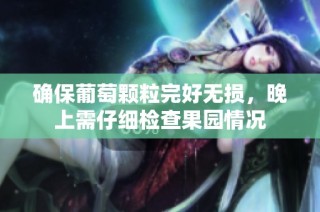 确保葡萄颗粒完好无损，晚上需仔细检查果园情况