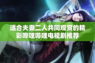 适合夫妻二人共同观赏的精彩哔哩哔哩电视剧推荐