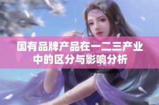 国有品牌产品在一二三产业中的区分与影响分析