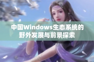 中国Windows生态系统的野外发展与前景探索