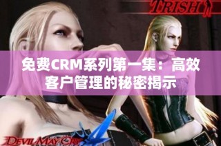 免费CRM系列第一集：高效客户管理的秘密揭示