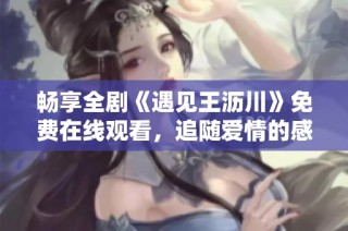 畅享全剧《遇见王沥川》免费在线观看，追随爱情的感人旅程