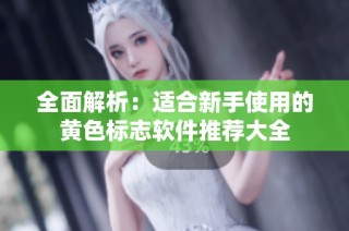 全面解析：适合新手使用的黄色标志软件推荐大全