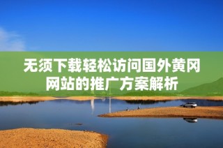 无须下载轻松访问国外黄冈网站的推广方案解析